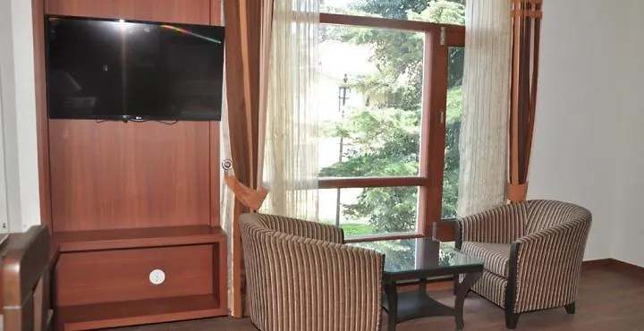 Hotel Southgate 심라 인도