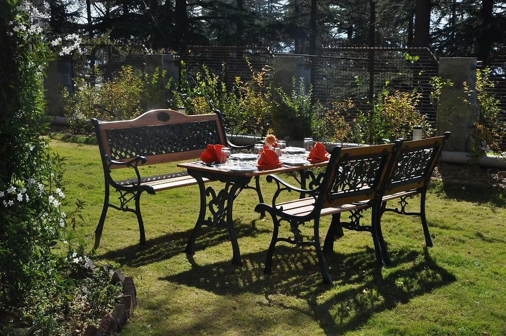 Hotel Southgate Shimla